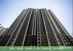 永威城最新爆料 第2张 永威城最新爆料 第2张